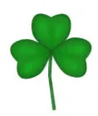 Shamrock 1
