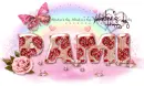 Pami-Happy Valentine rose
