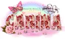Carina-Happy Valentine rose
