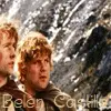 The Lord of The Rings- The Fellowship of the ring
