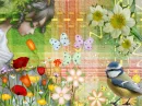 cute bird 