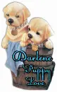 Puppy Love