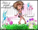 CONNIE