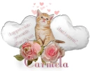 Appreciate You- Carmela
