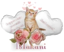 Appreciate You- Makani