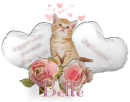 Appreciate You- Belle