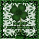 LUCKY friendship - Ashley
