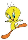 Animation