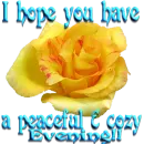 Yellow Rose -Have A Peaceful & Cozy Evening