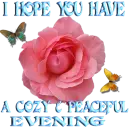 Evening