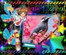Sakura Card Captor - Have a great day