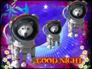 good night