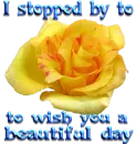 I stopped by to wish you a beautiful day