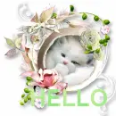 HELLO