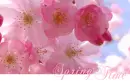 Spring Time