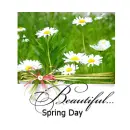 Spring Day