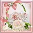Pink Rose