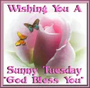 Tuesday