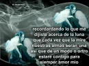   fantasy - amor mio 