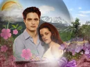 twilight