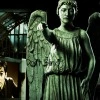 Don't Blink!