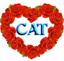 Cat aka Carol