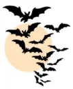 Bats