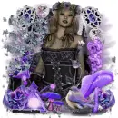 Purple flowers dream
