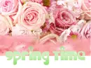 Spring Time