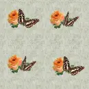 Rose and butterfly