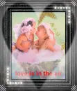 love is in the air 