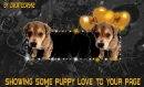 showing sum puppy love to your page