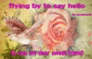 flying by to say hello to u may dear sweet friend