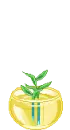 cute flora 2