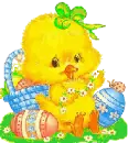 baby chick