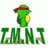 Teenage mutant nija turtals