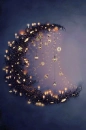 Moon light