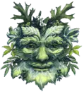 Nature Face