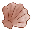 muschel