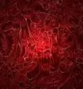 goth
