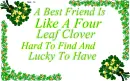 A best friend is...