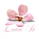 Spring Flower