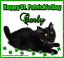 Patrick's Day Black Cat - Carly