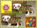 hello there - hugs from jenny