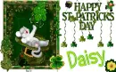 Daisy -Happy St. Patricks Day