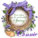 Beautiful Spring - Connie