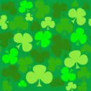 Summer Clovers