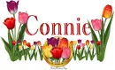 Connie Tulip Garden