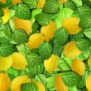 Lemon tree seamless background
