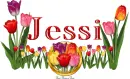 Jessi Tulip Garden